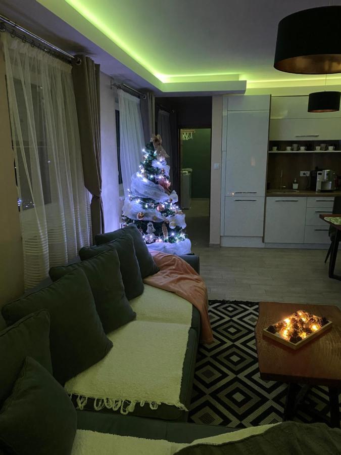 Aria Lux Apartmani Врдник Экстерьер фото